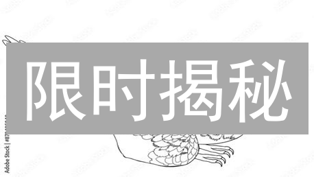 限时揭秘：新手7步速购VDT，赢在起跑线！