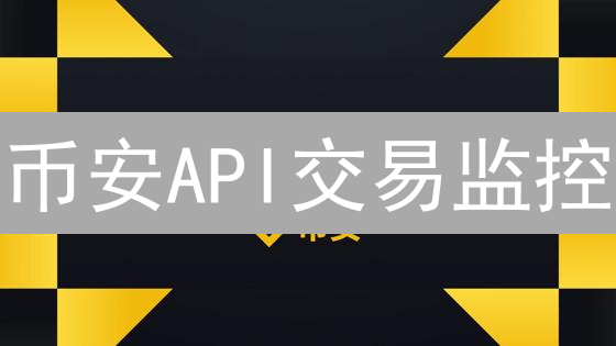币安API交易监控：实战指南与入门教程