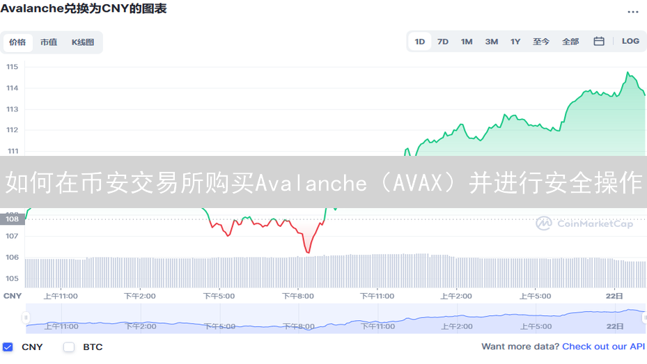 如何在币安交易所购买Avalanche（AVAX）并进行安全操作