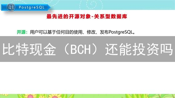 比特现金（BCH）还能投资吗？2024年投资策略与风险全解析