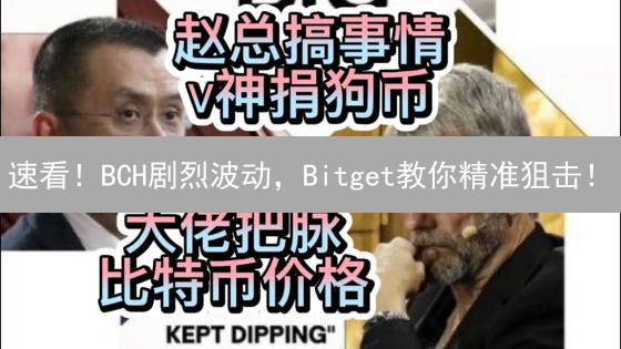 速看！BCH剧烈波动，Bitget教你精准狙击！