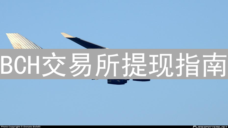 BCH交易所提现指南：步骤、费用与安全考量