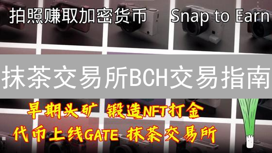 抹茶交易所BCH交易指南：新手入门与风险提示