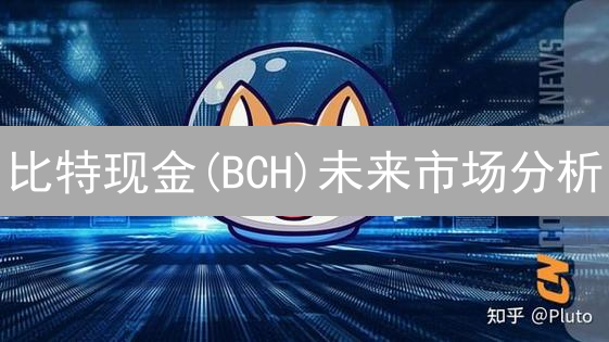 比特现金(BCH)未来市场分析：技术、社区与监管