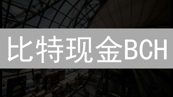 比特现金BCH：新手入门指南与核心特性解析