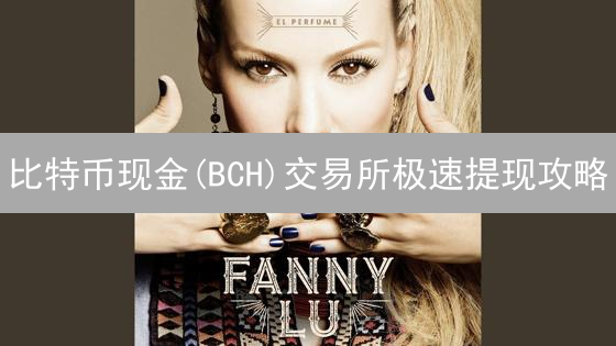 比特币现金(BCH)交易所极速提现攻略：速度、安全、费用全解析