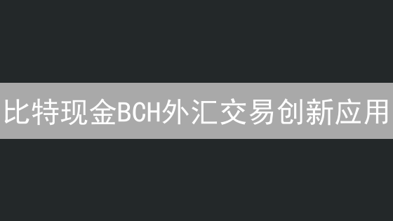 比特现金BCH外汇交易创新应用：连接加密货币与外汇市场
