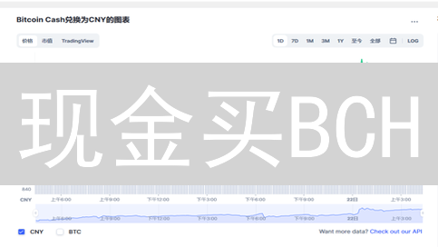 现金买BCH？币安终极攻略：告别疑惑，新手也能轻松上手！