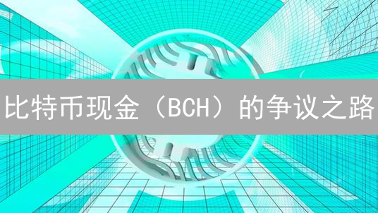 比特币现金（BCH）的争议之路：真能重塑电子现金的未来？