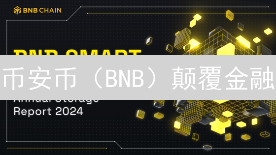 币安币（BNB）颠覆金融？立即探索DeFi支付新机遇！