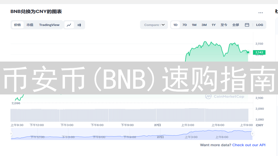 币安币(BNB)速购指南：技巧、用途及购买方法详解