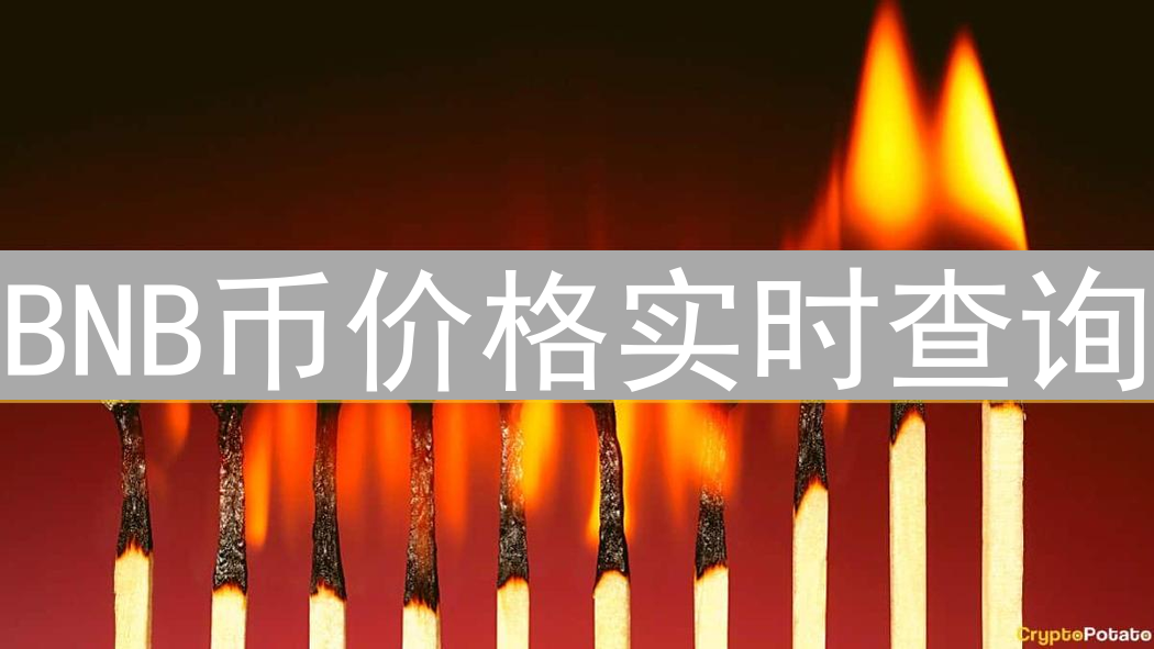BNB币价格实时查询：币安币市场动态全攻略