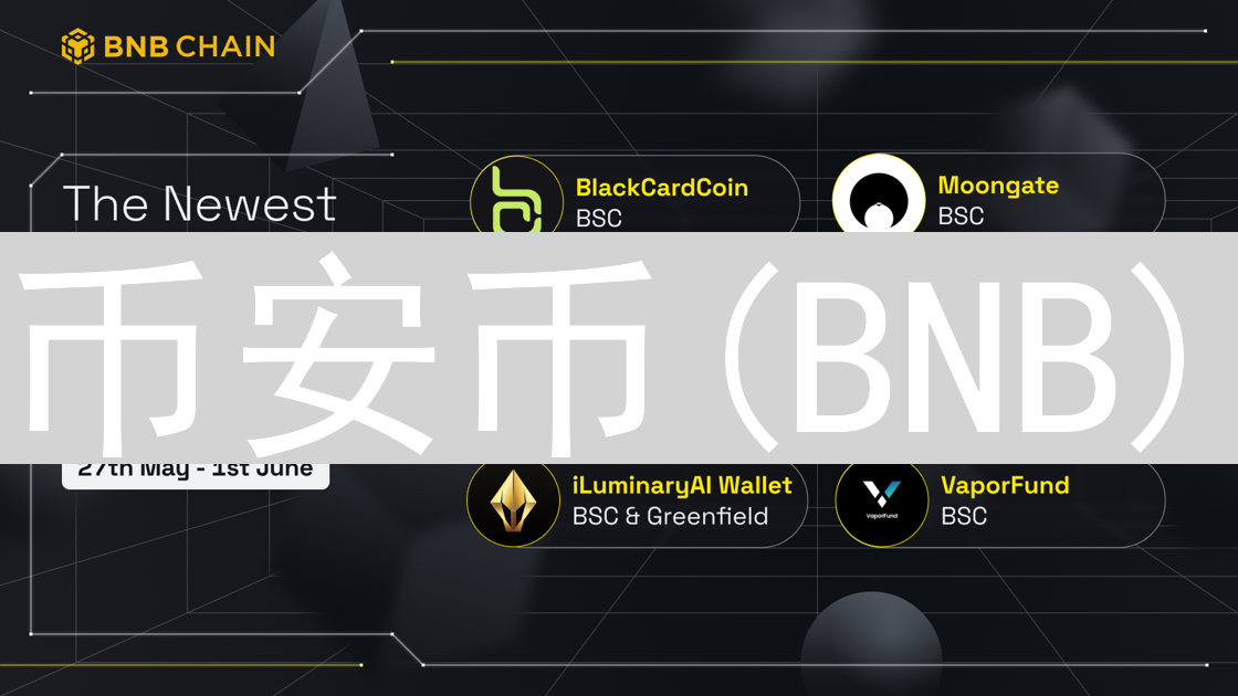 币安币(BNB)：通缩机制下的价值与应用深度解析