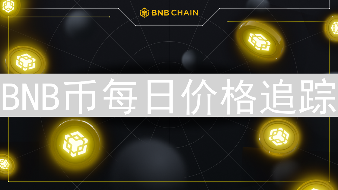 BNB币每日价格追踪：掌握市场脉搏的实用指南