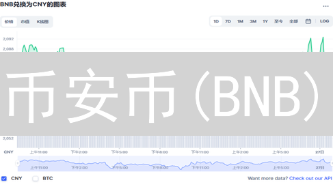 币安币(BNB)：价值与生态系统深度解析