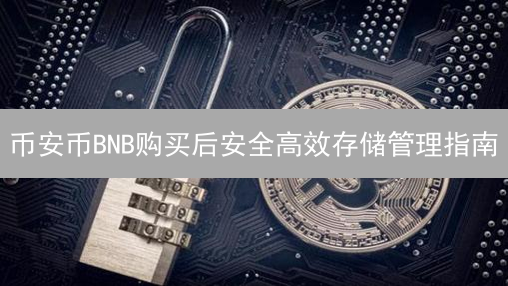 币安币BNB购买后安全高效存储管理指南