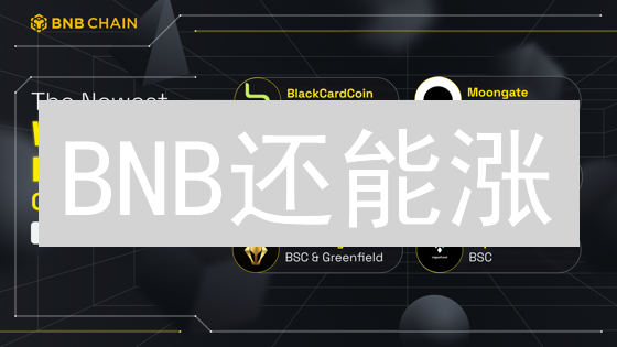 BNB还能涨？一文读懂币安币的价值、用途与风险！