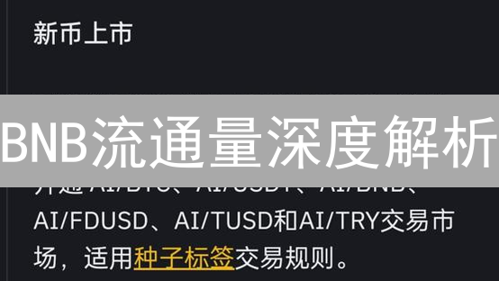 BNB流通量深度解析：如何影响你的投资？