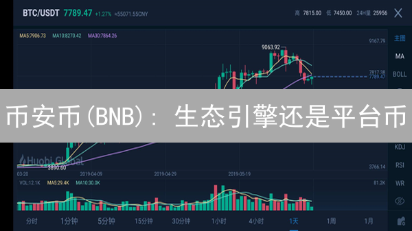币安币(BNB): 生态引擎还是平台币？未来前景分析