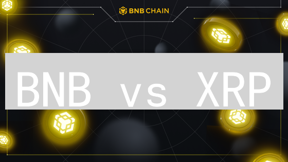 BNB vs XRP：谁是加密货币的未来之星？速看！