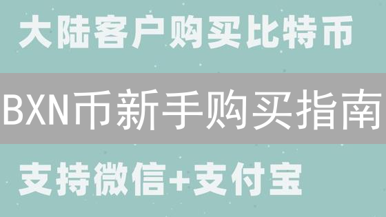 BXN币新手购买指南：玩转加密货币新星