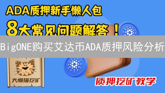 BigONE购买艾达币ADA质押风险分析：潜在风险解读与防范