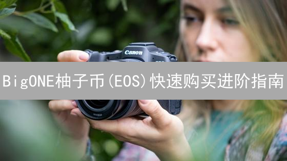 BigONE柚子币(EOS)快速购买进阶指南