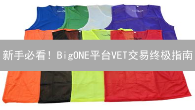 新手必看！BigONE平台VET交易终极指南？快速上手！