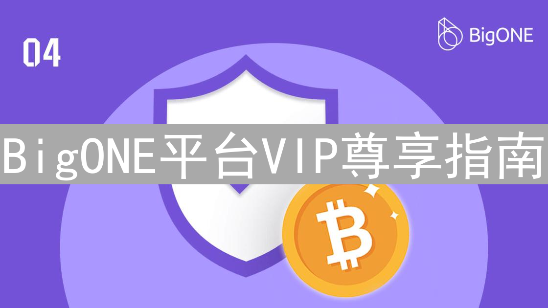 BigONE平台VIP尊享指南：特权权益全方位解读