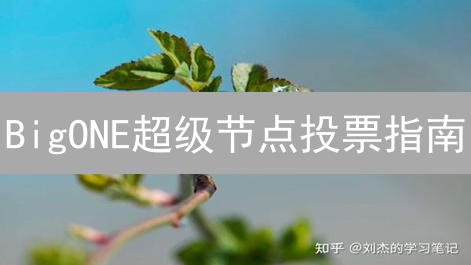 BigONE超级节点投票指南：解锁加密货币影响力，参与平台治理