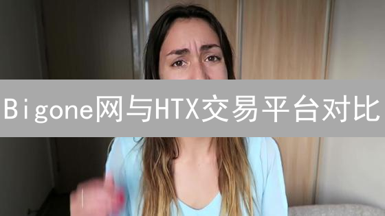 Bigone网与HTX交易平台对比：加密货币交易平台选择指南