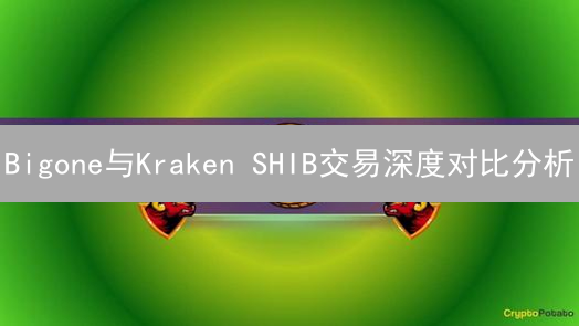 Bigone与Kraken SHIB交易深度对比分析：流动性与滑点的影响
