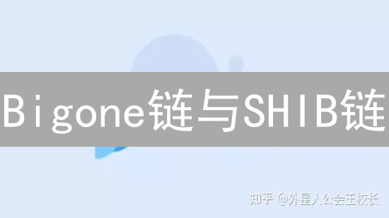 Bigone链与SHIB链：加密货币未来的两种可能图景