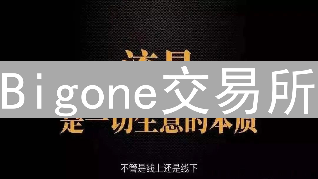 Bigone交易所：存款提现速度全解析与影响因素分析