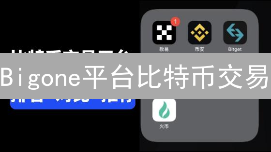 Bigone平台比特币交易：风险规避与用户指南