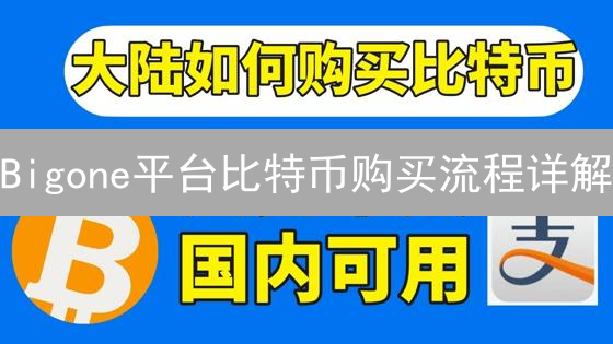 Bigone平台比特币购买流程详解：新手入门指南