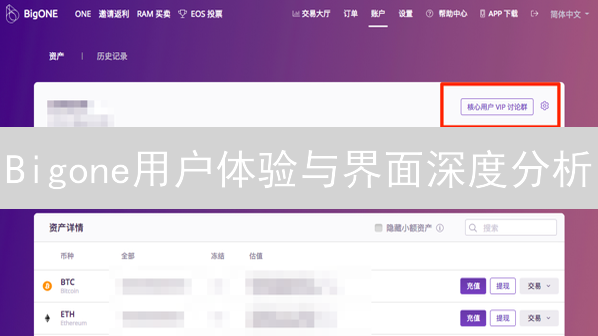 Bigone用户体验与界面深度分析：交易平台用户体验优化