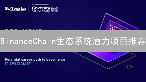 BinanceChain生态系统潜力项目推荐：DeFi与新兴领域的探索