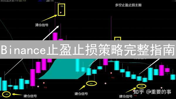 Binance止盈止损策略完整指南