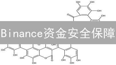 Binance资金安全保障：多重防线守护您的数字资产