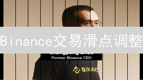 Binance交易滑点调整：解锁更优交易体验