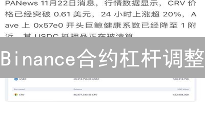 Binance合约杠杆调整：风险掌控与步步为营策略