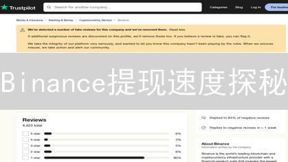 Binance提现速度探秘：流程、影响因素与优化策略