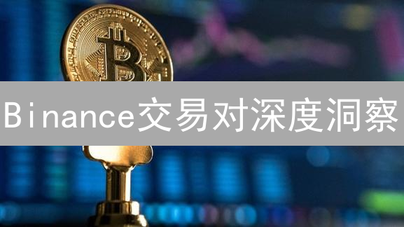 Binance交易对深度洞察：流动性评估与交易策略