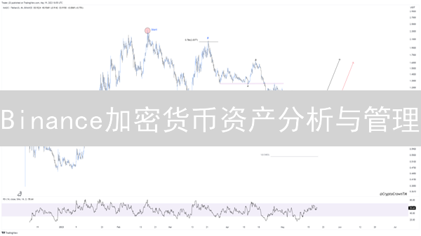 Binance加密货币资产分析与管理：实践与思考