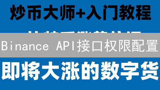 Binance API接口权限配置：保障账户安全的精细化指南