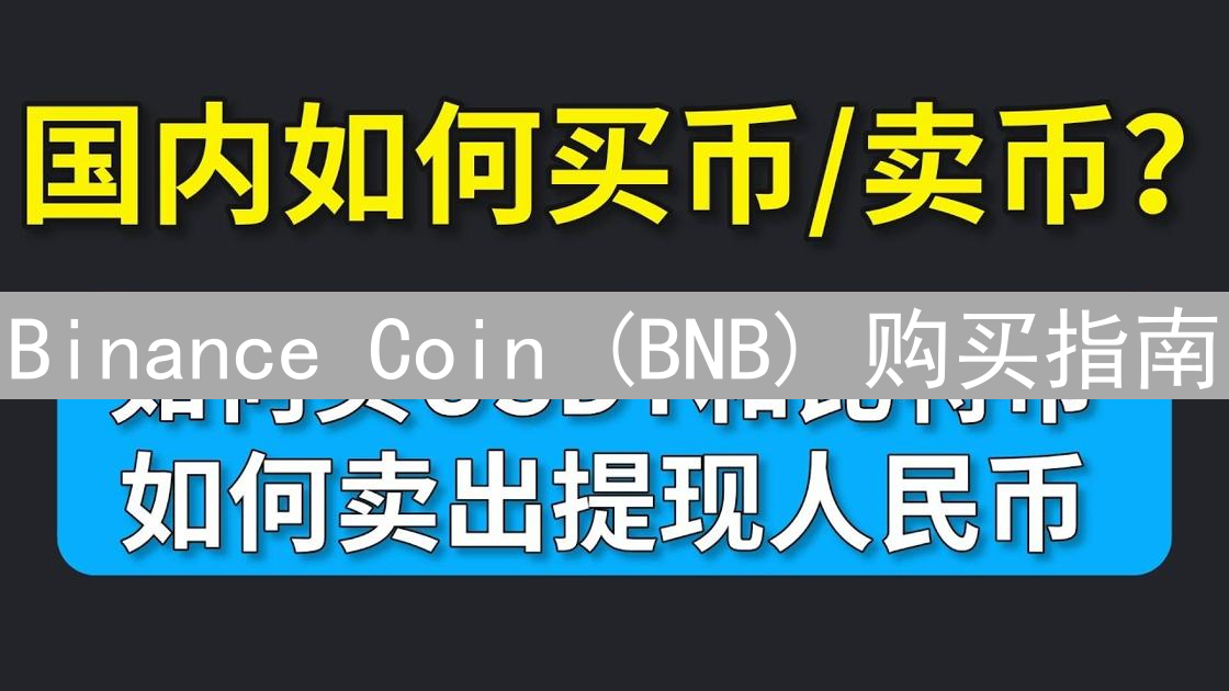 Binance Coin (BNB) 购买指南：新手交易实战详解