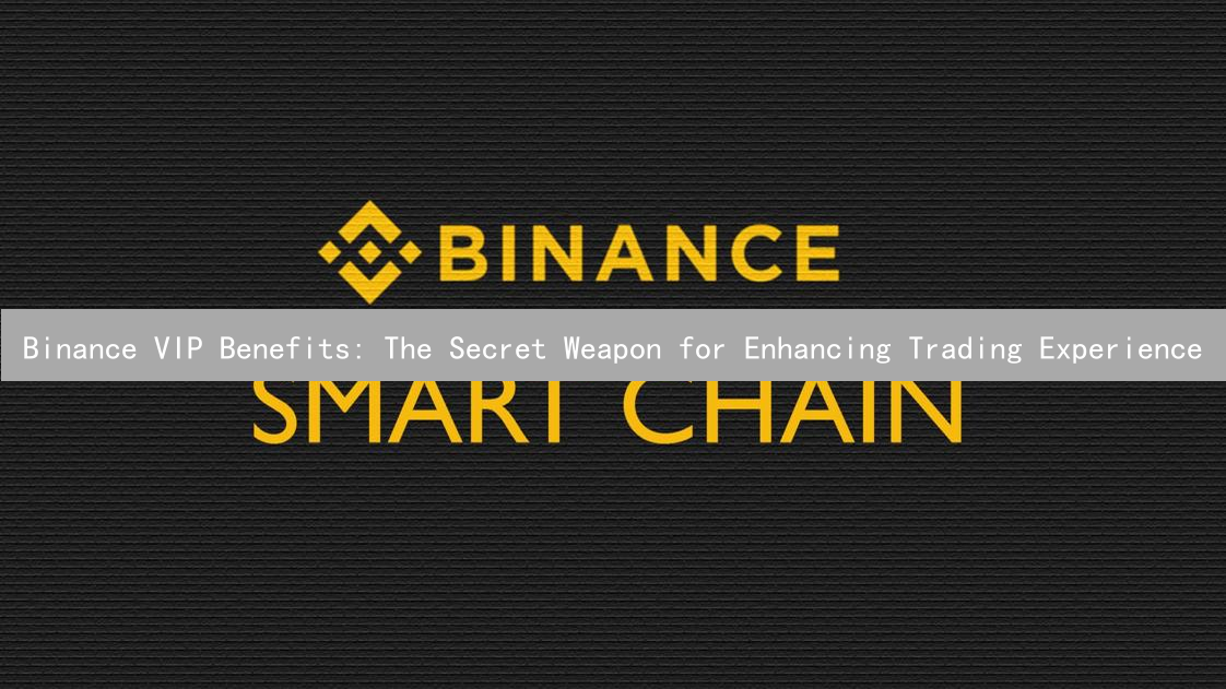 Binance VIP Benefits: The Secret Weapon for Enhancing Trading Experience