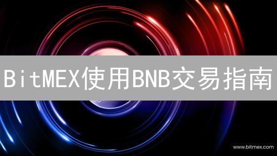 BitMEX使用BNB交易指南：间接参与及替代方案详解