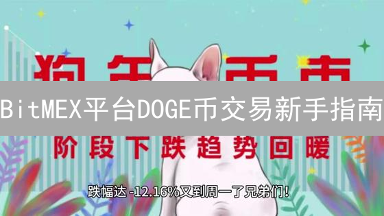 BitMEX平台DOGE币交易新手指南：策略与手续费优化